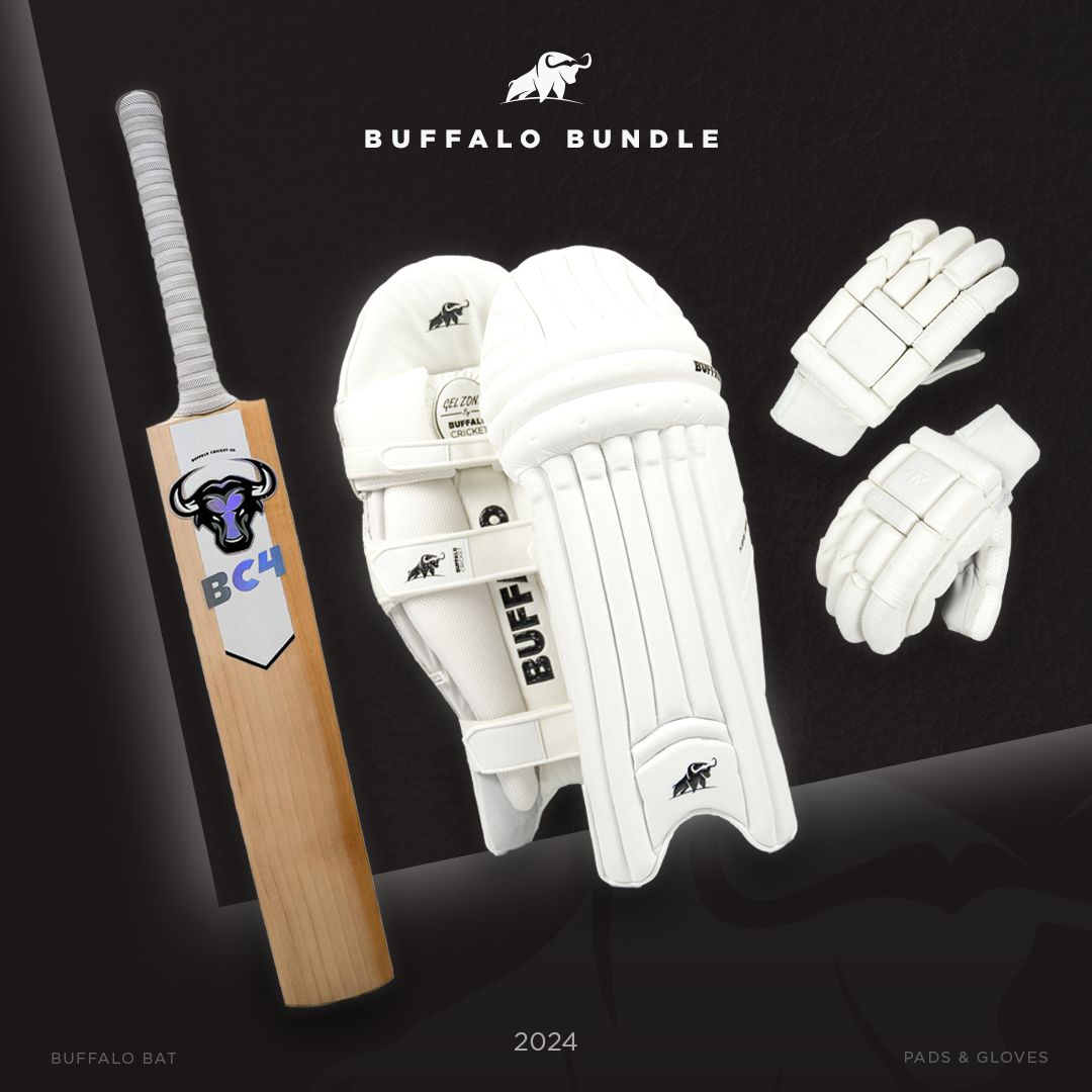 Cricket bat pads and gloves on sale