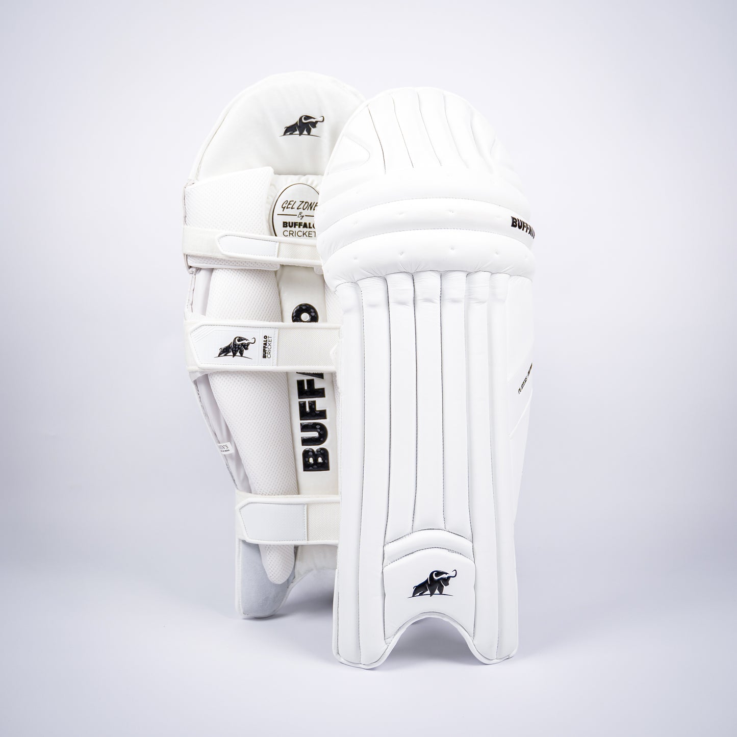 2025 Batting pads | Players