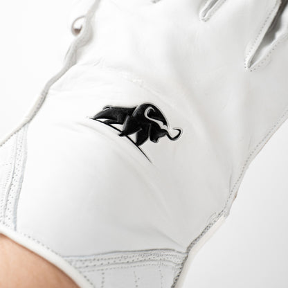 Buffalo WK gloves | 2025